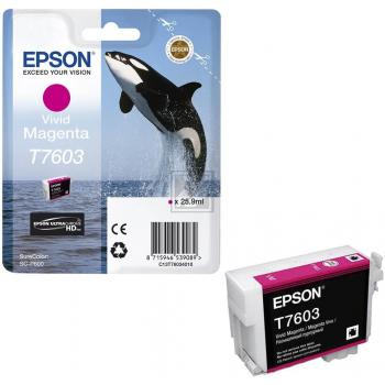 Epson Tintenpatrone magenta (C13T76034010, T7603)