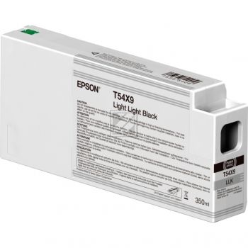 Original Epson C13T54X900 / T54X900 Tinte schwarz hell hell